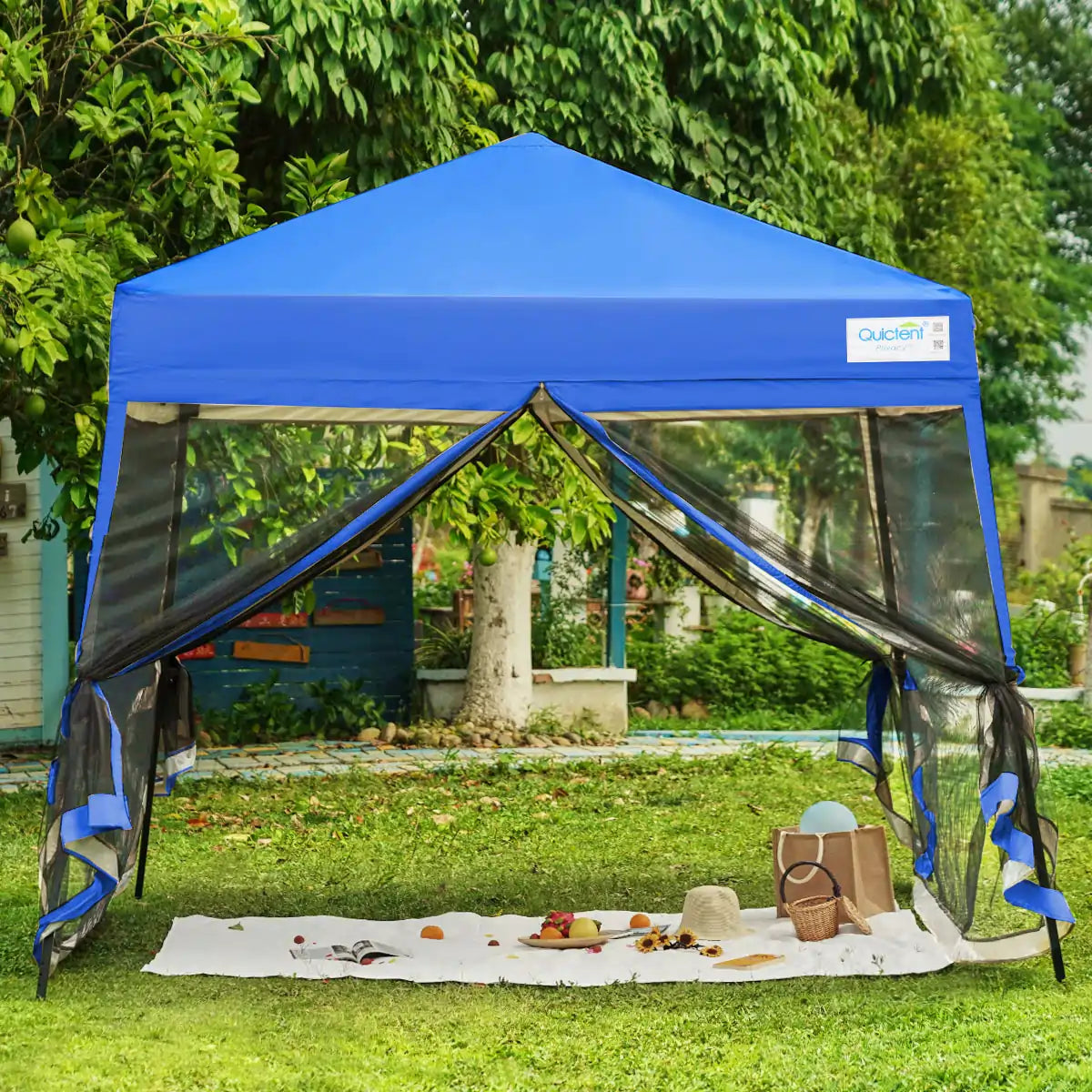 #color_royal blue