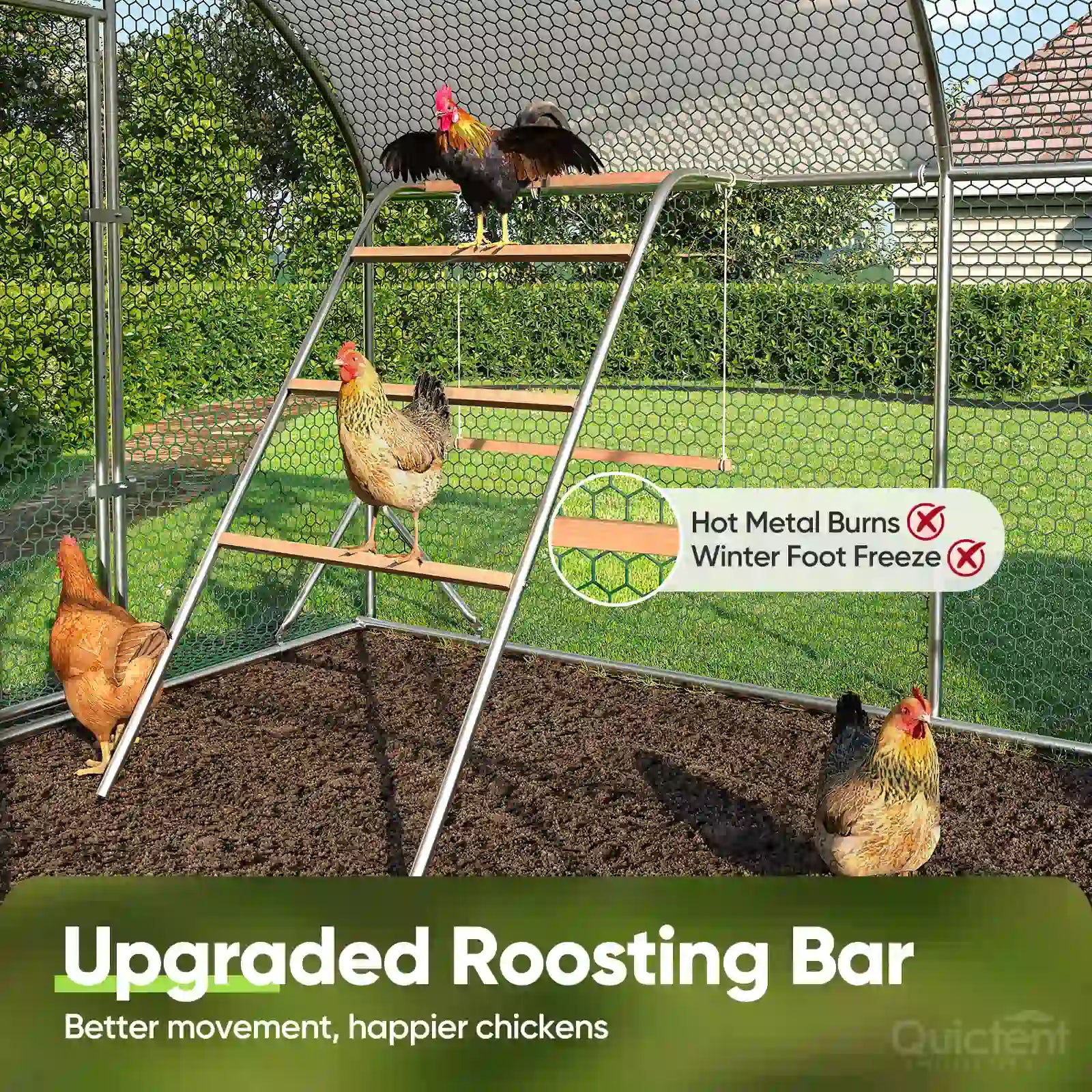 Built-In Roosting Ladder & Swing Set#size_18x9FT with Ladder+Swing