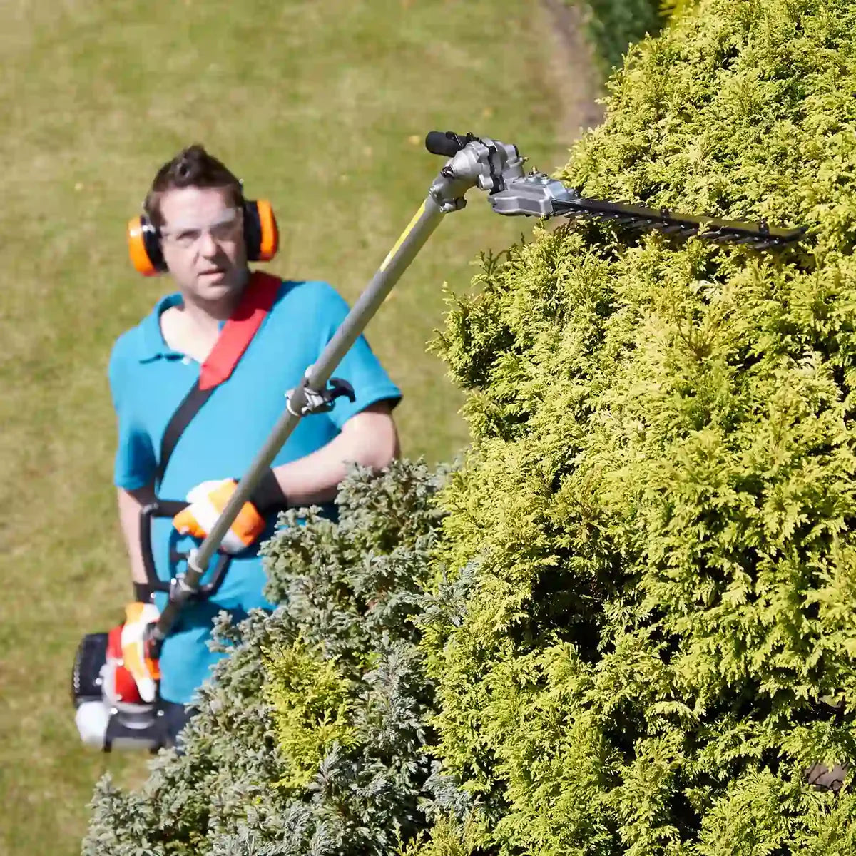 using a hedge trimmer to trim hedges outdoors#style_5-in-1 saw head