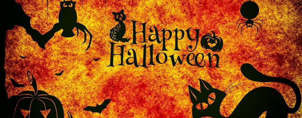 Happy Halloween from Zupapa