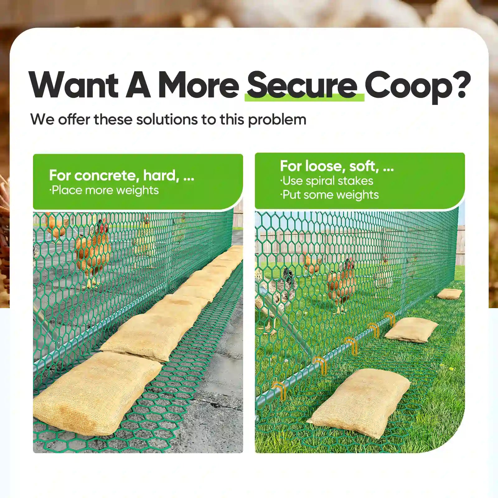chicken coop secure solutions#size_12x9FT with Ladder+Swing