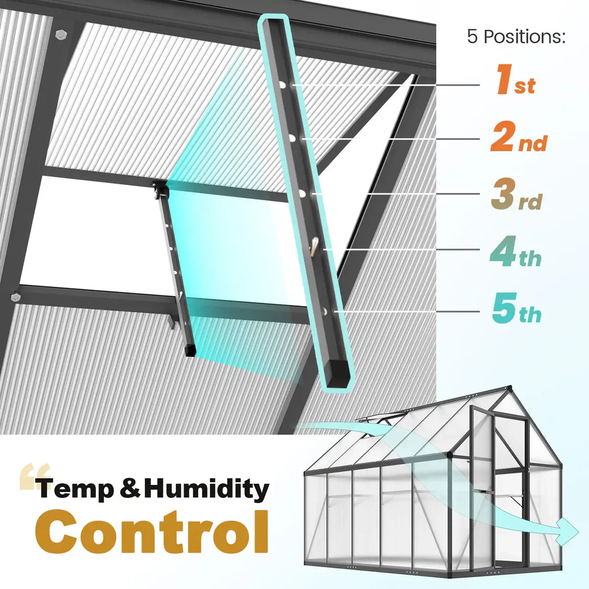 Polycarbonate Walk-in Greenhouse