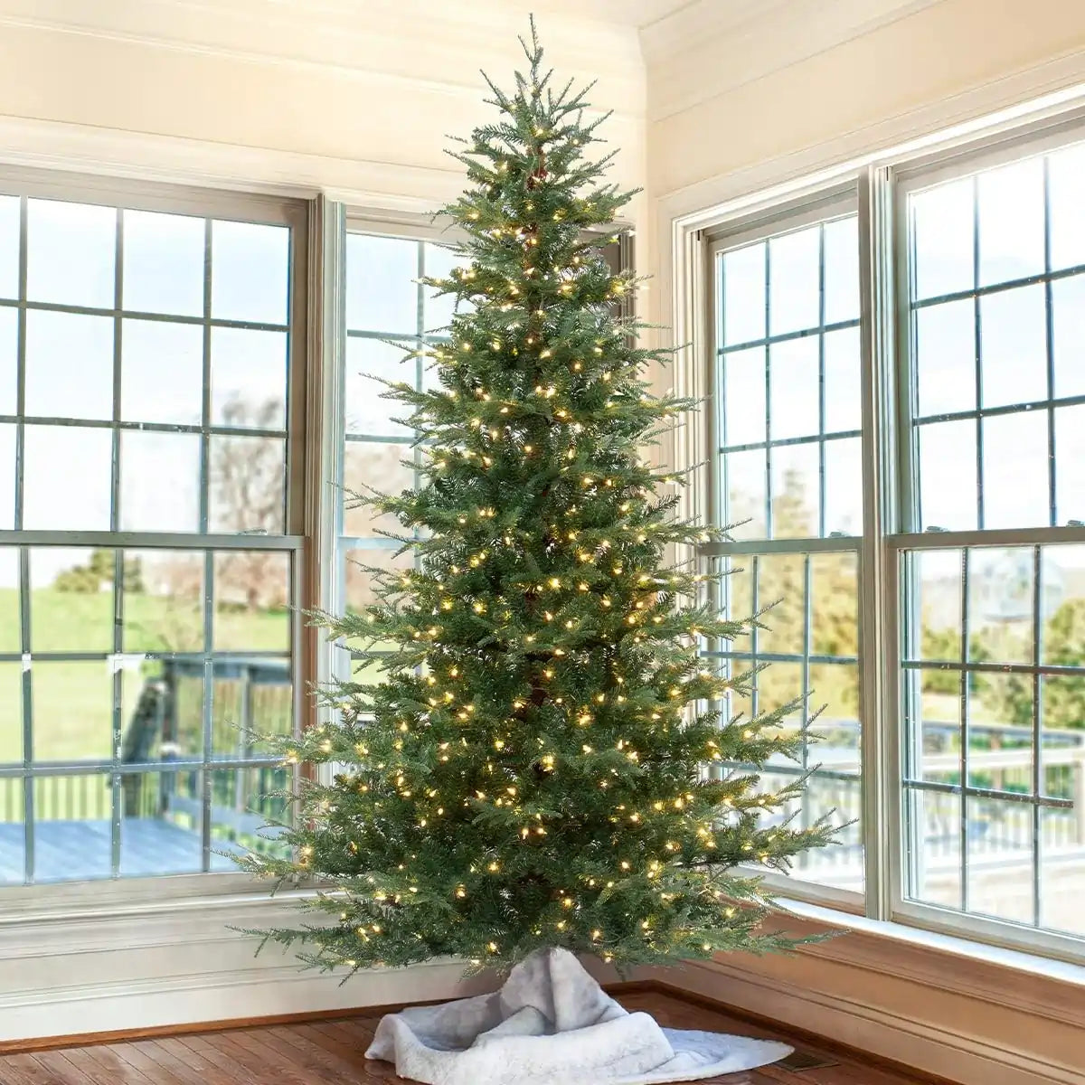 Aspen fir christmas tree cheap